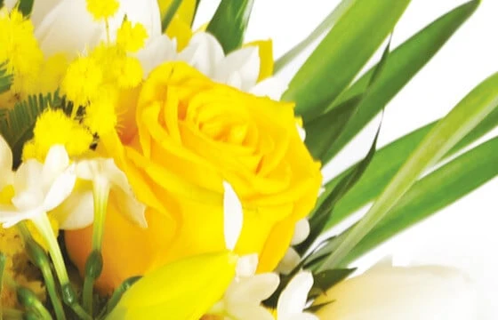 Bouquet Boucle D'Or 2 Bouquet Boucle D'Or – Image 2