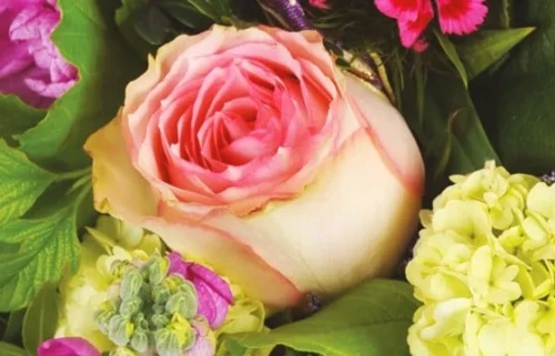 Bouquet Champêtre Campagne 5 Bouquet Champêtre Campagne -Monde Des Fleurs bouquet champetre campagne 2