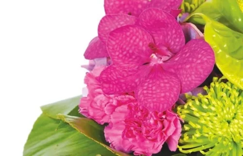 Bouquet De Fleurs Boudoir -Monde Des Fleurs bouquet de fleurs boudoir 2