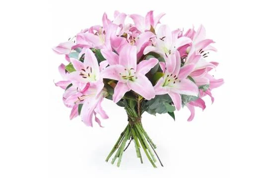 Bouquet De Lys Rose "Bruxelles" 1 Bouquet De Lys Rose "Bruxelles"
