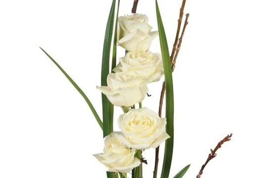 Bouquet De Roses Blanches Colombe 2 Bouquet De Roses Blanches Colombe – Image 2