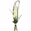 Bouquet De Roses Blanches Colombe