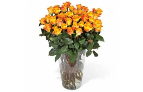 Bouquet De Roses Oranges Longues Tiges