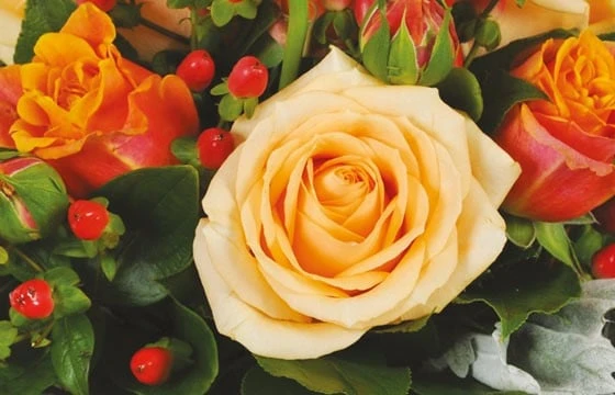 Bouquet De Roses Rond Louisiane 2 Bouquet De Roses Rond Louisiane – Image 2