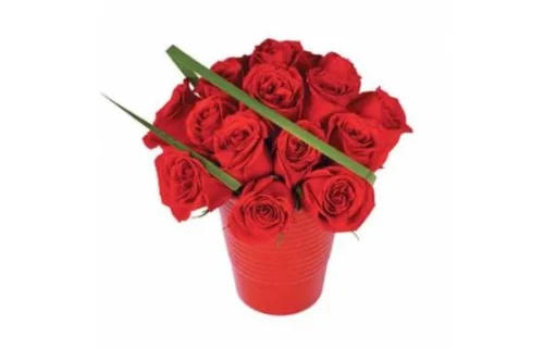 Bouquet De Roses Rouges En Pot Grenade