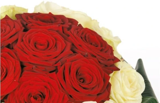 Bouquet De Roses Rouges Et Blanches Complicité 3 Bouquet De Roses Rouges Et Blanches Complicité – Image 3