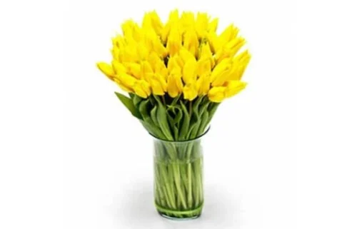 Bouquet De Tulipes Jaunes