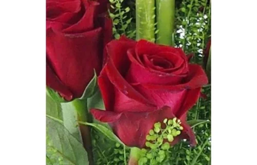 Bouquet Long De Roses Rouges "Saragosse" -Monde Des Fleurs bouquet long de roses rouges saragosse 2