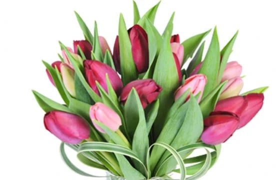Bouquet Rond De Tulipes Roses & Mauves 2 Bouquet Rond De Tulipes Roses & Mauves – Image 2