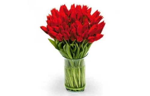 Bouquet Rond De Tulipes Rouges