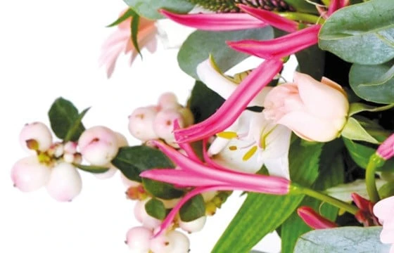 Bouquet Rond Dédicace 2 Bouquet Rond Dédicace – Image 2