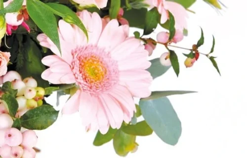 Bouquet Rond Dédicace 5 Bouquet Rond Dédicace -Monde Des Fleurs bouquet rond dedicace 2