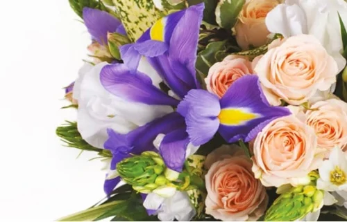 Devant -Monde Des Fleurs bouquet rond reine 1