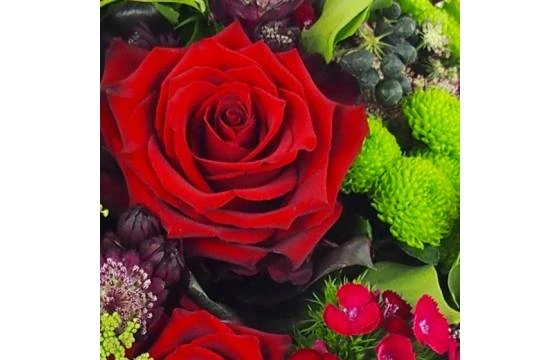 Bouquet Rond Rouge "Riga" 2 Bouquet Rond Rouge "Riga" – Image 2