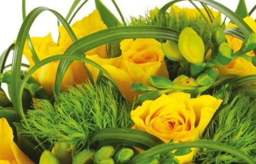 Bouquet Rond Vert Tige -Monde Des Fleurs bouquet rond vert tige 2