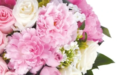 Coeur En Fleurs Roses Songe -Monde Des Fleurs coeur en fleurs roses songe 2