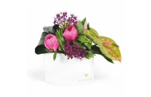 Composition Carré D'Amour