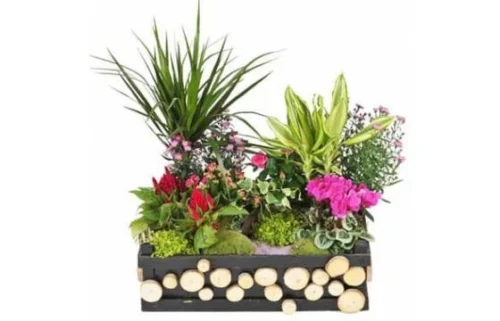 Composition De Deuil Le Jardin D'Olympe