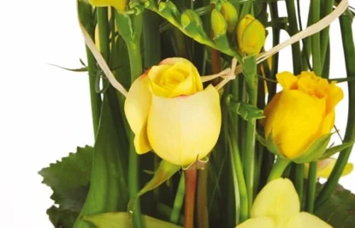 Composition De Fleurs Jaunes Bora-Bora -Monde Des Fleurs composition de fleurs jaunes bora bora 2