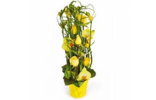 Composition De Fleurs Jaunes Bora-Bora