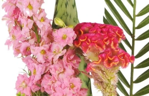 Composition De Fleurs Lady 5 Composition De Fleurs Lady -Monde Des Fleurs composition de fleurs lady 2