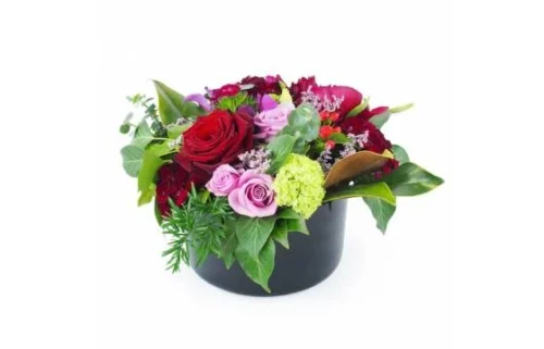 Composition De Rose Rouge & Mauve "Phoenix"