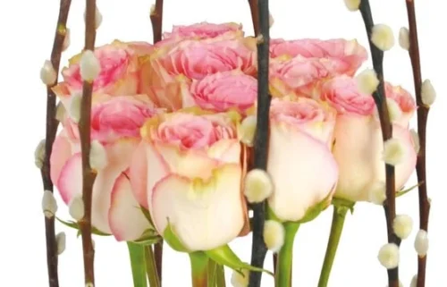 Composition De Roses Roses Cage D'Amour 5 Composition De Roses Roses Cage D'Amour -Monde Des Fleurs composition de roses roses cage d amour 2