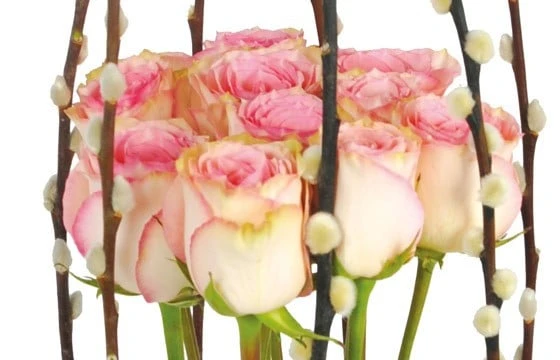 Composition De Roses Roses Cage D'Amour 3 Composition De Roses Roses Cage D'Amour – Image 3