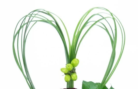 Composition De Roses Rouges Vérone 2 Composition De Roses Rouges Vérone – Image 2