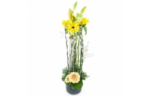 Composition En Hauteur Jaune "Madison"