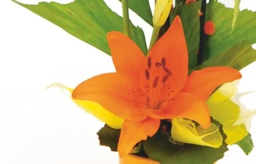 Composition Florale Abricot -Monde Des Fleurs composition florale abricot 2