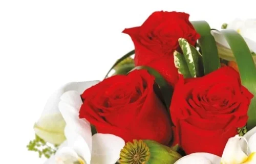 Composition Florale Perle De Rose -Monde Des Fleurs composition florale perle de rose 2