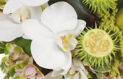 Composition Horizontale Eventail -Monde Des Fleurs composition horizontale eventail 2