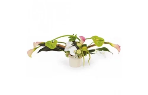 Composition Horizontale Eventail