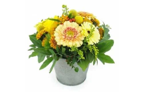 Composition Orange & Jaune "Tokyo"