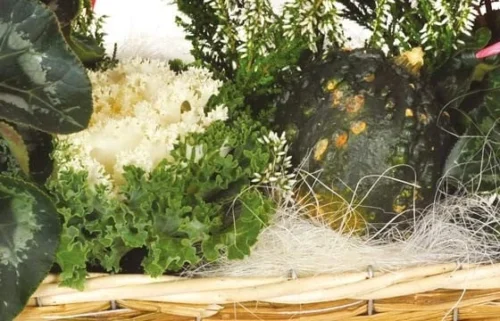 Composition Plantes Vertes & Fleuries Etincelle -Monde Des Fleurs composition plantes vertes fleuries etincelle 2