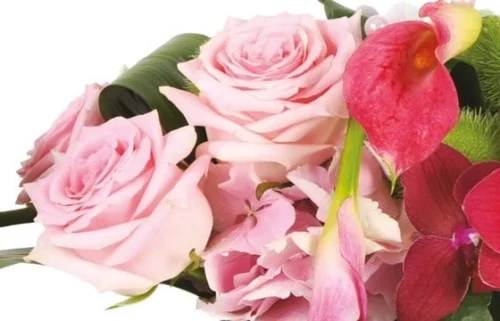 Composition Pureté Des Sens -Monde Des Fleurs composition purete des sens 2