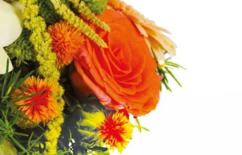 Composition Ronde Mignon -Monde Des Fleurs composition ronde mignon 2