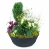 Coupe De Deuil De Plantes Blanches "Nubes"