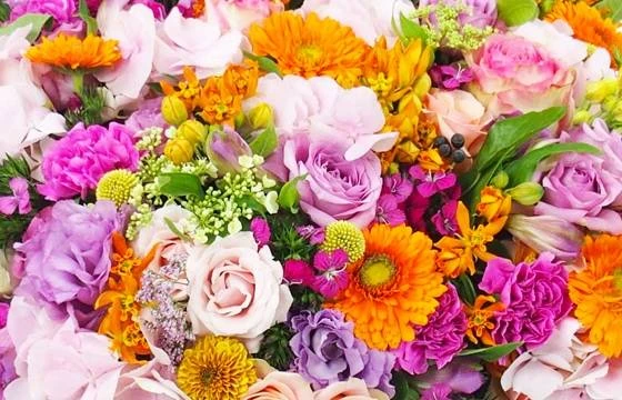 Coussin De Deuil Coloré "Phidias" 2 Coussin De Deuil Coloré "Phidias" – Image 2