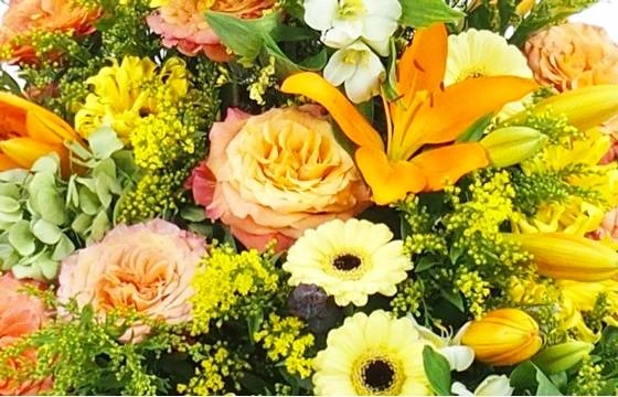 Coussin En Hauteur Jaune & Orange "Apollon" 2 Coussin En Hauteur Jaune & Orange "Apollon" – Image 2