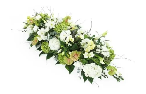 Dessus De Cercueil Blanc & Vert "Ulysse"