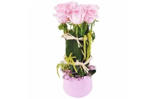 Fagot De Roses Allons Voir Si La Rose...