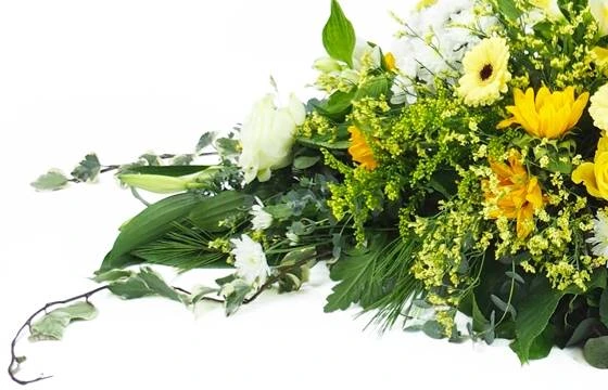 Raquette De Deuil Jaune & Blanche "Pluton" 2 Raquette De Deuil Jaune & Blanche "Pluton" – Image 2