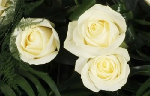 Raquette De Roses Blanches L'Ange Gardien -Monde Des Fleurs raquette de roses blanches l ange gardien 2