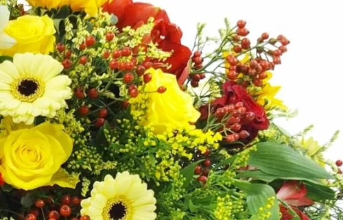 Raquette Fleurs Colorées "Thucydide" -Monde Des Fleurs raquette fleurs colorees thucydide 2