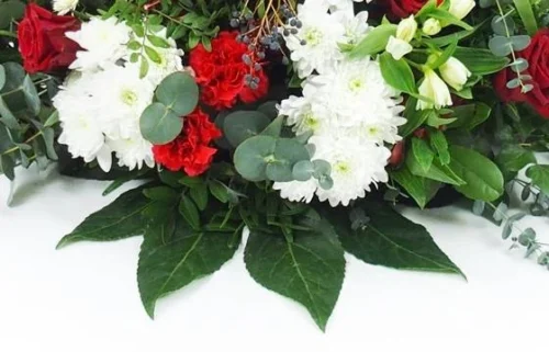 Raquette Rouge & Blanche "Delphes" -Monde Des Fleurs raquette rouge blanche delphes 2