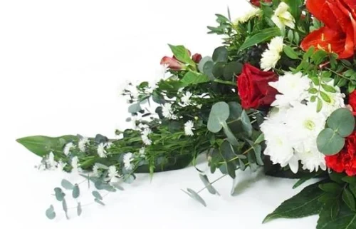 Raquette Rouge & Blanche "Delphes" -Monde Des Fleurs raquette rouge blanche delphes 3