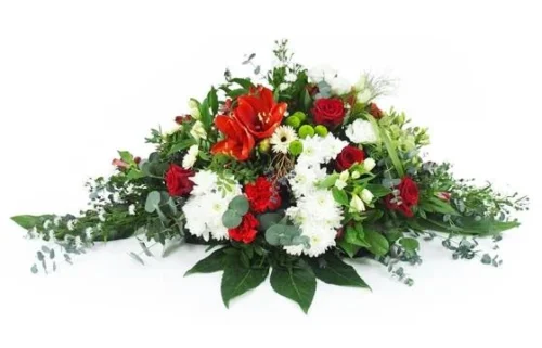 Raquette Rouge & Blanche "Delphes"