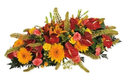 Raquette Rouge & Orange L'Eclipse